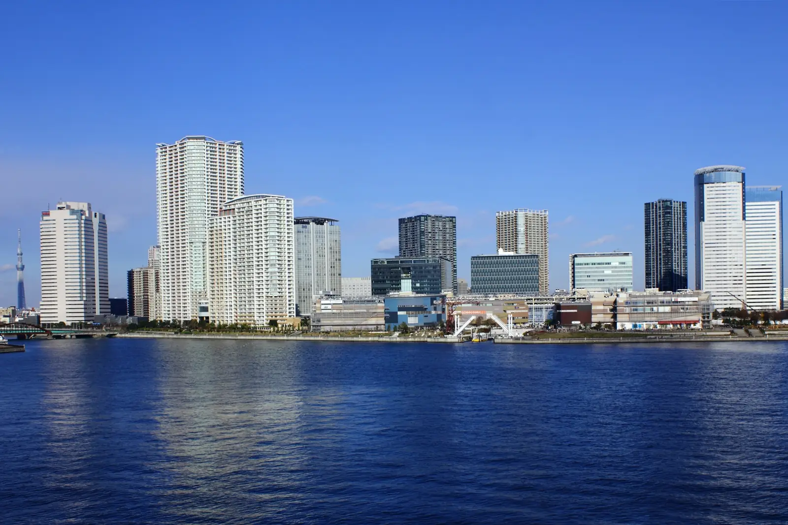 Apartment and office towers on the Toyosu shore across deep blue water on a clear day, seen from the Harumi Bridge; a general photograph of the area, not of the museum